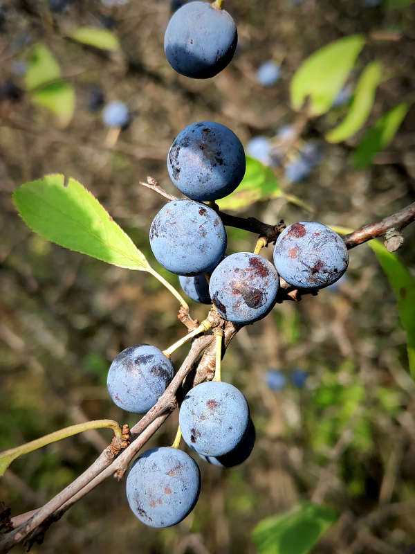 ����� ��� ����� ������  �� PhotoGeek.ru #����� #����� ��������������