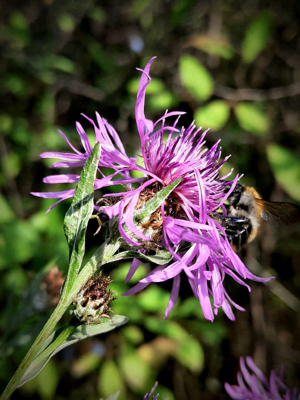 ������� ������� ����� ������  �� PhotoGeek.ru #����� #����� ��������������