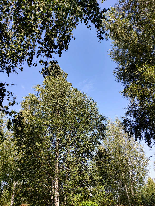 ����� ���� ����� ������  �� PhotoGeek.ru #������ ��� �������