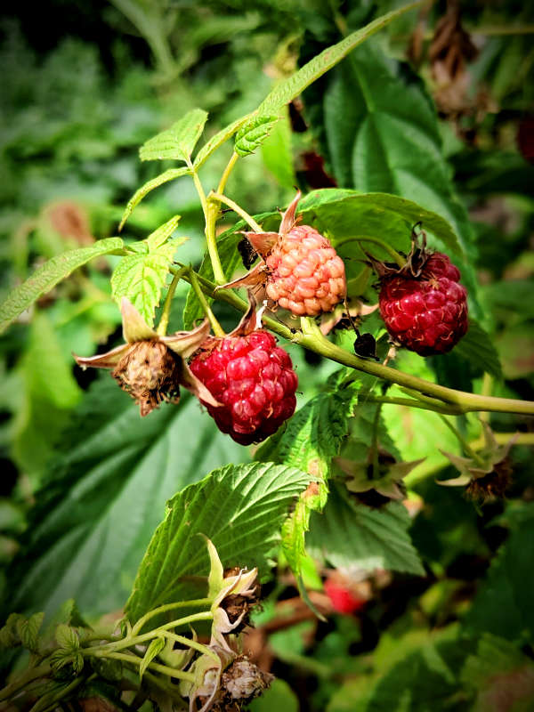 ������� ����� ������  �� PhotoGeek.ru #����� #����� ��������������