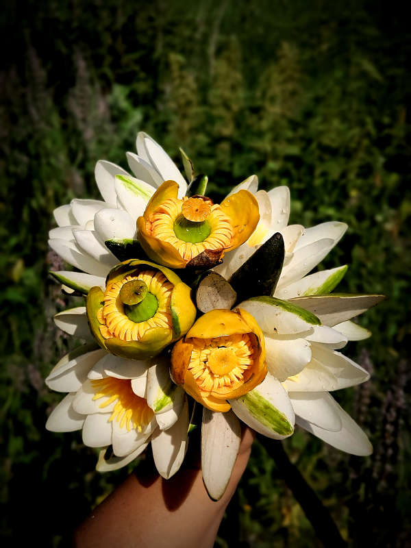 ����� ��������, ������ ������� ����� ������  �� PhotoGeek.ru #����� #����� ��������������