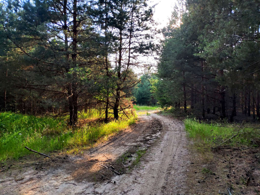 ������� �������� ����� ������  �� PhotoGeek.ru #������ ��� �������