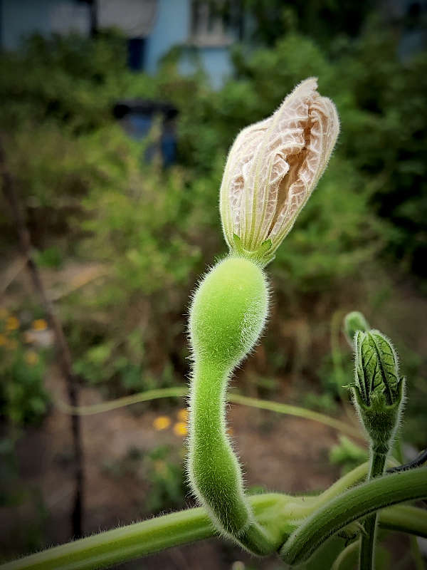 ������ ��������� ����� ������  �� PhotoGeek.ru #����� #����� ��������������