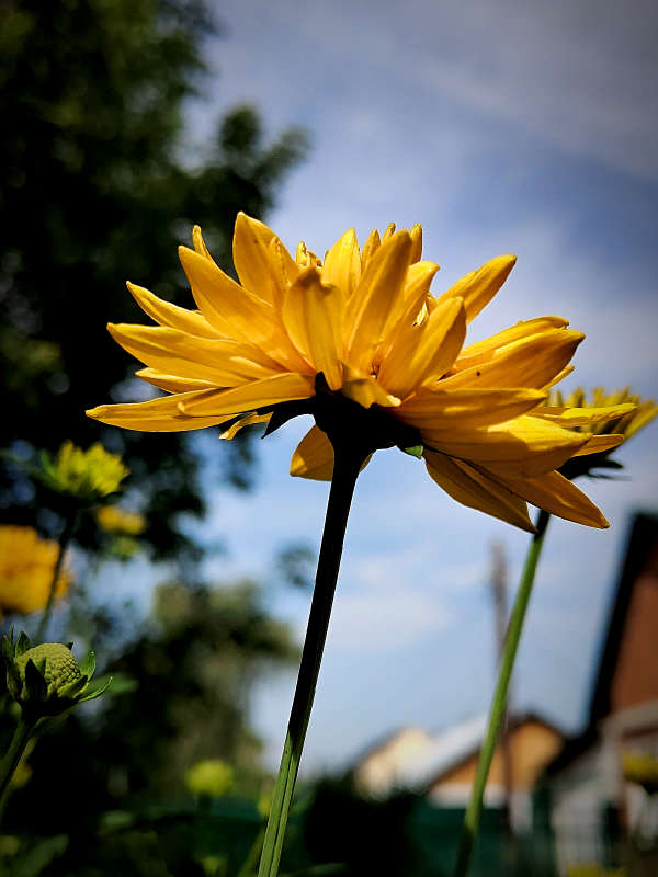 "������� ���" ����� ������  �� PhotoGeek.ru #����� #����� ��������������