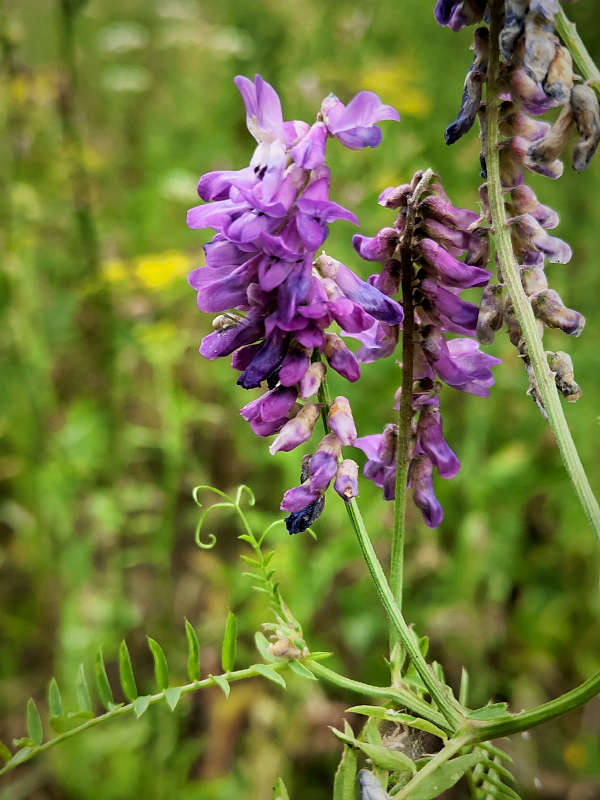 ������ ����� ������  �� PhotoGeek.ru #����� #����� ��������������