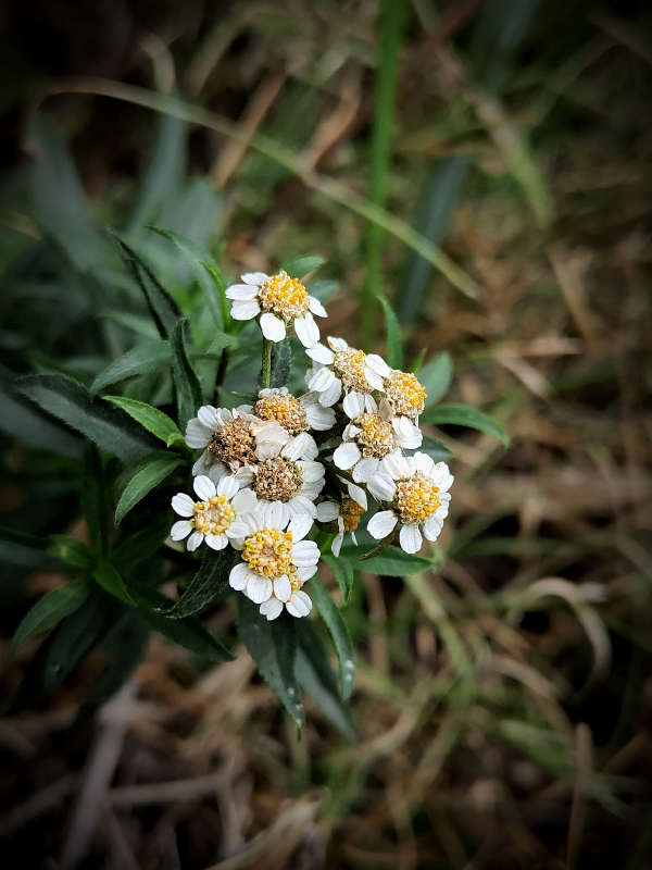 ������� ����� ����� ������  �� PhotoGeek.ru #����� #����� ��������������