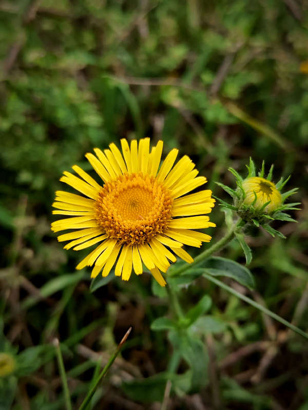 ������ ������� ����� ������  �� PhotoGeek.ru #����� #����� ��������������