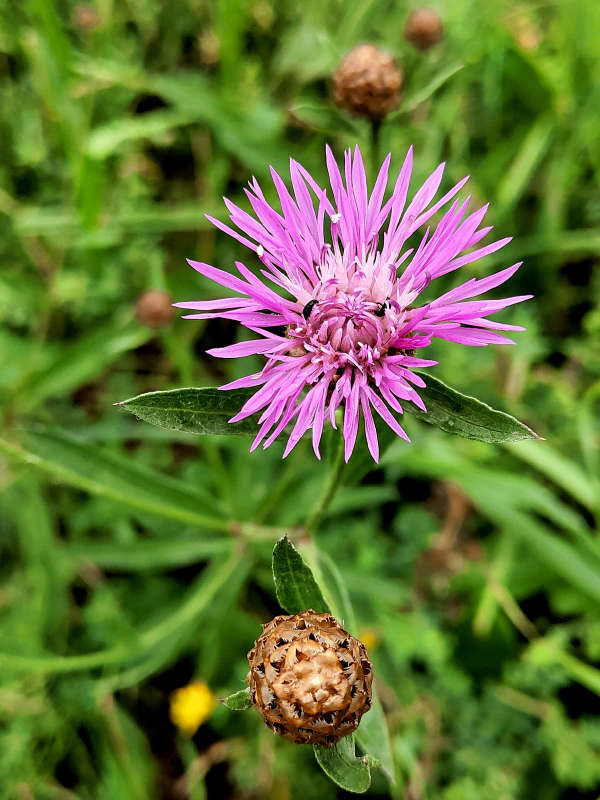 ������� ������� ����� ������  �� PhotoGeek.ru #����� #����� ��������������