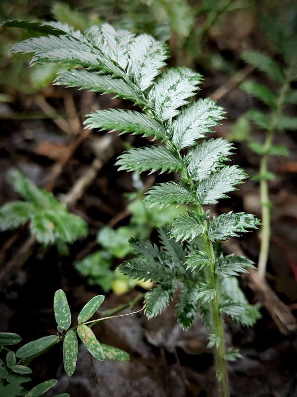 ����������� ����� ����� ������  �� PhotoGeek.ru #����� #����� ��������������