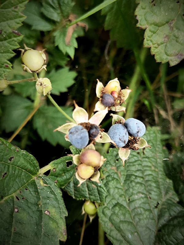 ������� ����� ������  �� PhotoGeek.ru #����� #����� ��������������