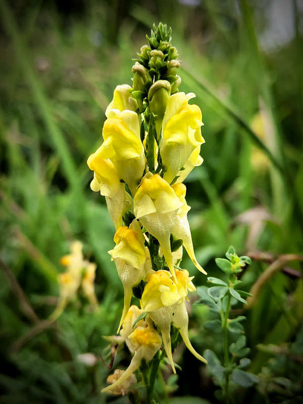 ������� ����� ������  �� PhotoGeek.ru #����� #����� ��������������