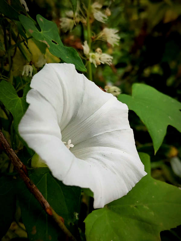 ������ ����� ������  �� PhotoGeek.ru #����� #����� ��������������