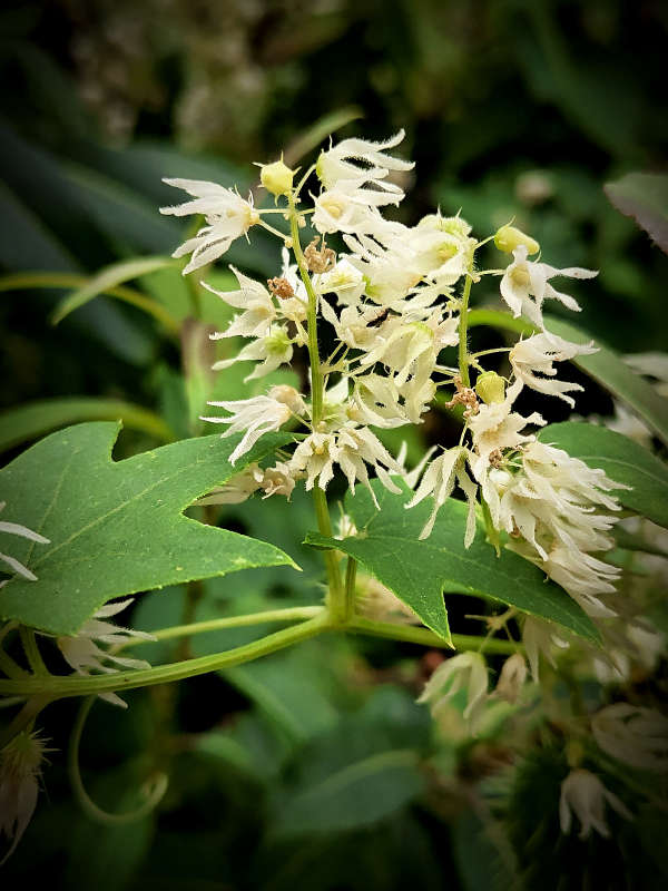 ������ ����� ������ ����� ������  �� PhotoGeek.ru #����� #����� ��������������