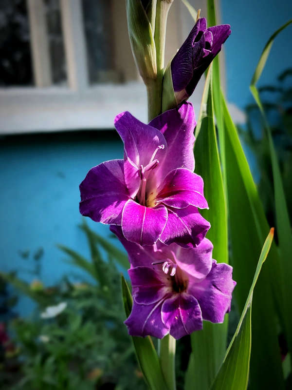 ����� ��������� ����� ������  �� PhotoGeek.ru #����� #����� ��������������