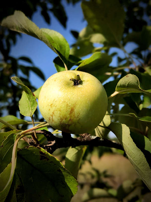 ����� ������� ����� ������  �� PhotoGeek.ru #����� #����� ��������������