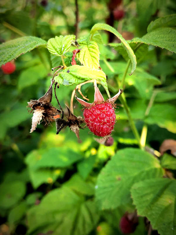 ������� ������� ����� ������  �� PhotoGeek.ru #����� #����� ��������������