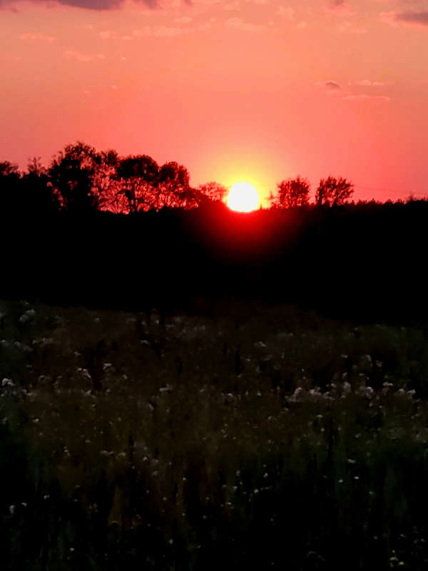 �������� ������ ������ ���... ����� ������  �� PhotoGeek.ru #������ ��� �������