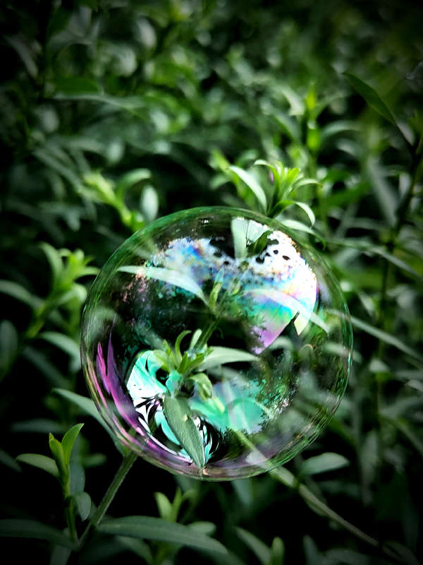 ������ ����� ������  �� PhotoGeek.ru #�����