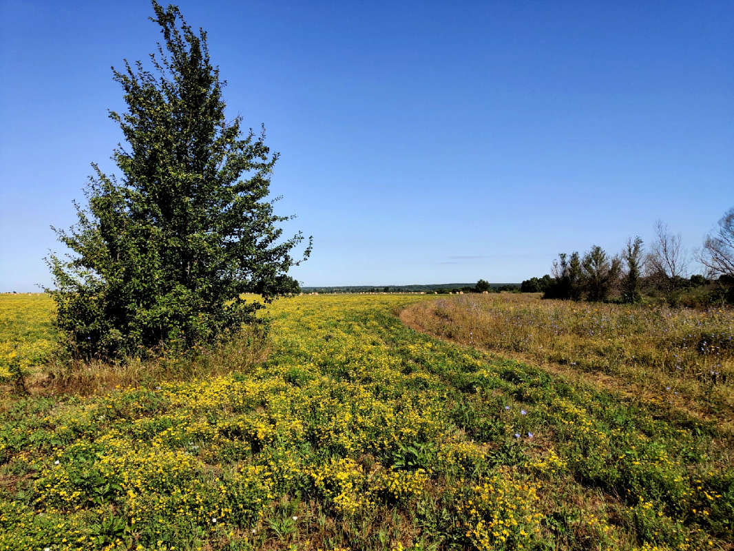 �� ���� ����� ������  �� PhotoGeek.ru #������ ��� �������