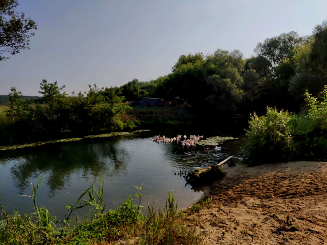 ���� �� ����� ����� ������  �� PhotoGeek.ru #������ ��� �������