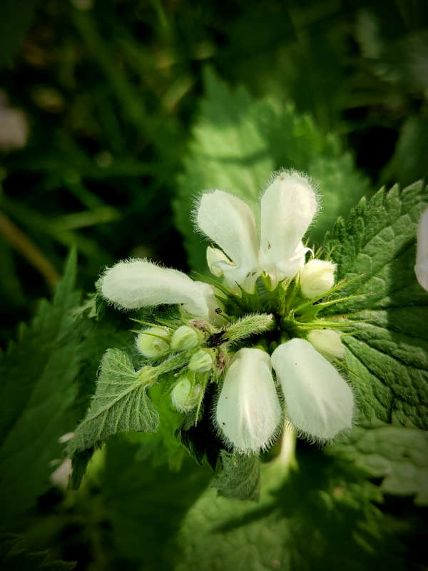 ������� ����� ������  �� PhotoGeek.ru #����� #����� ��������������