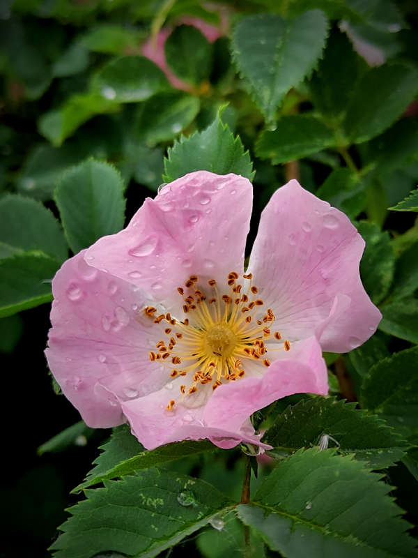 �������� ����� ������  �� PhotoGeek.ru #����� #����� ��������������