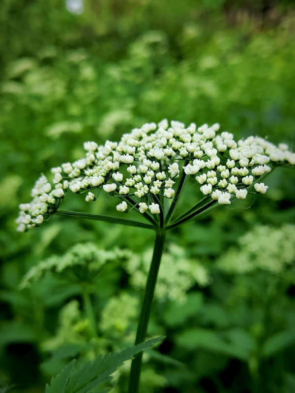 ��������� ����� ������  �� PhotoGeek.ru #����� #����� ��������������