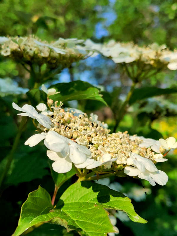 ������� ���� ����� ������  �� PhotoGeek.ru #����� #����� ��������������
