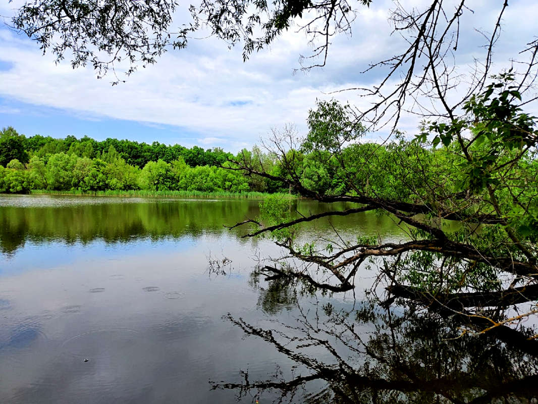 ����������� ����� ����� ������  �� PhotoGeek.ru #������ ��� �������