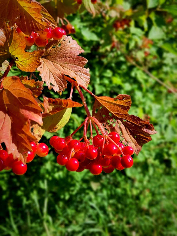 ������ ������� ����� ������  �� PhotoGeek.ru #����� #����� ��������������