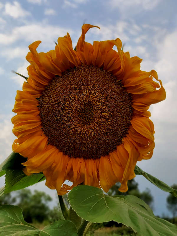 ��������� ����� ������  �� PhotoGeek.ru #����� ��������������