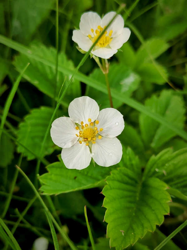 ����������� ���� ����� ������  �� PhotoGeek.ru #����� #����� ��������������