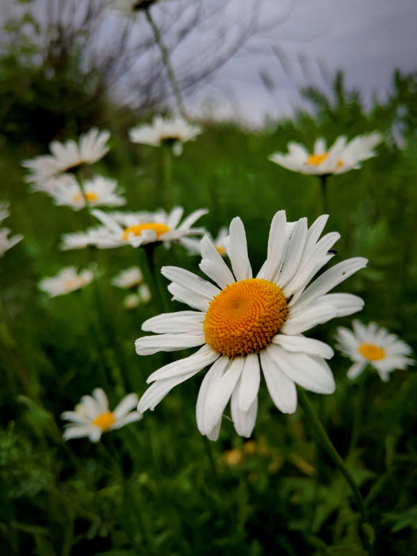 ������� ����� ������  �� PhotoGeek.ru #����� #����� ��������������