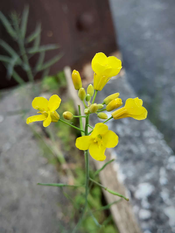 ������ �������� ����� ������  �� PhotoGeek.ru #����� ��������������