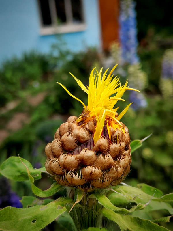 ����� ����� ������  �� PhotoGeek.ru #����� #����� ��������������