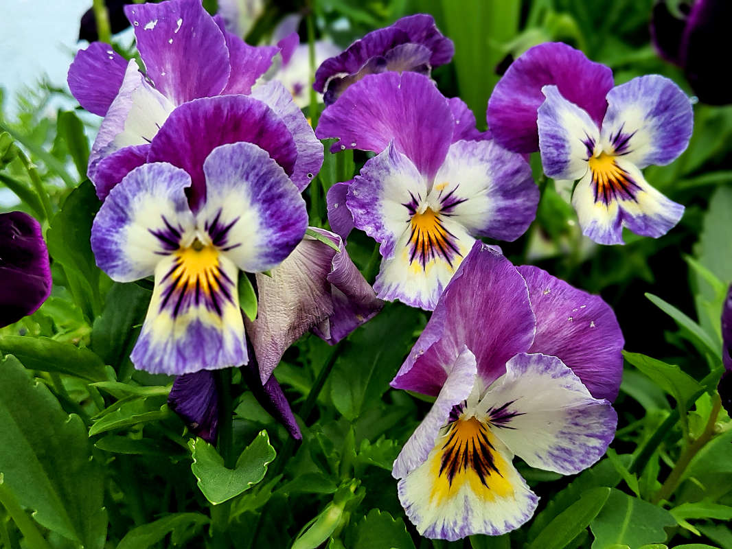 ����� ������ ����� ������  �� PhotoGeek.ru #����� #����� ��������������