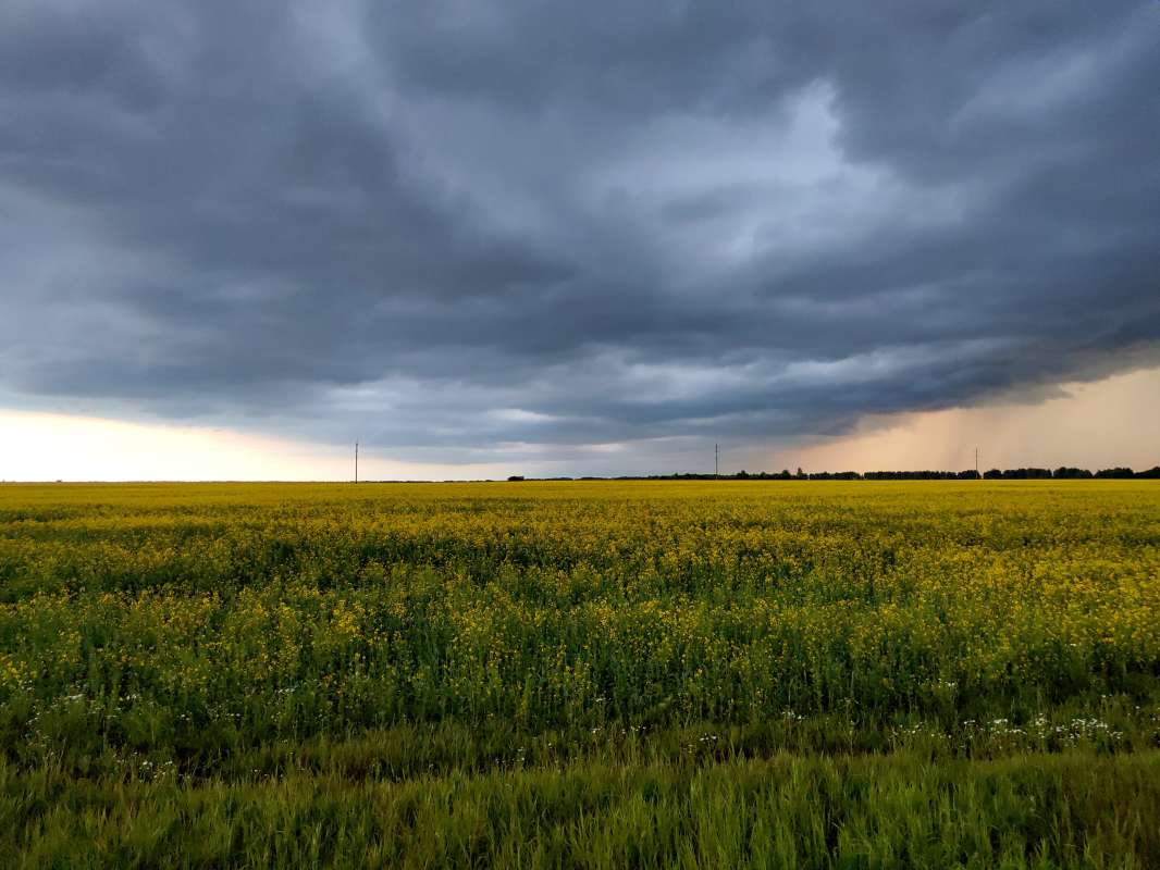 ���� ��������� �������� ���� ����� ������  �� PhotoGeek.ru #������ ��� �������