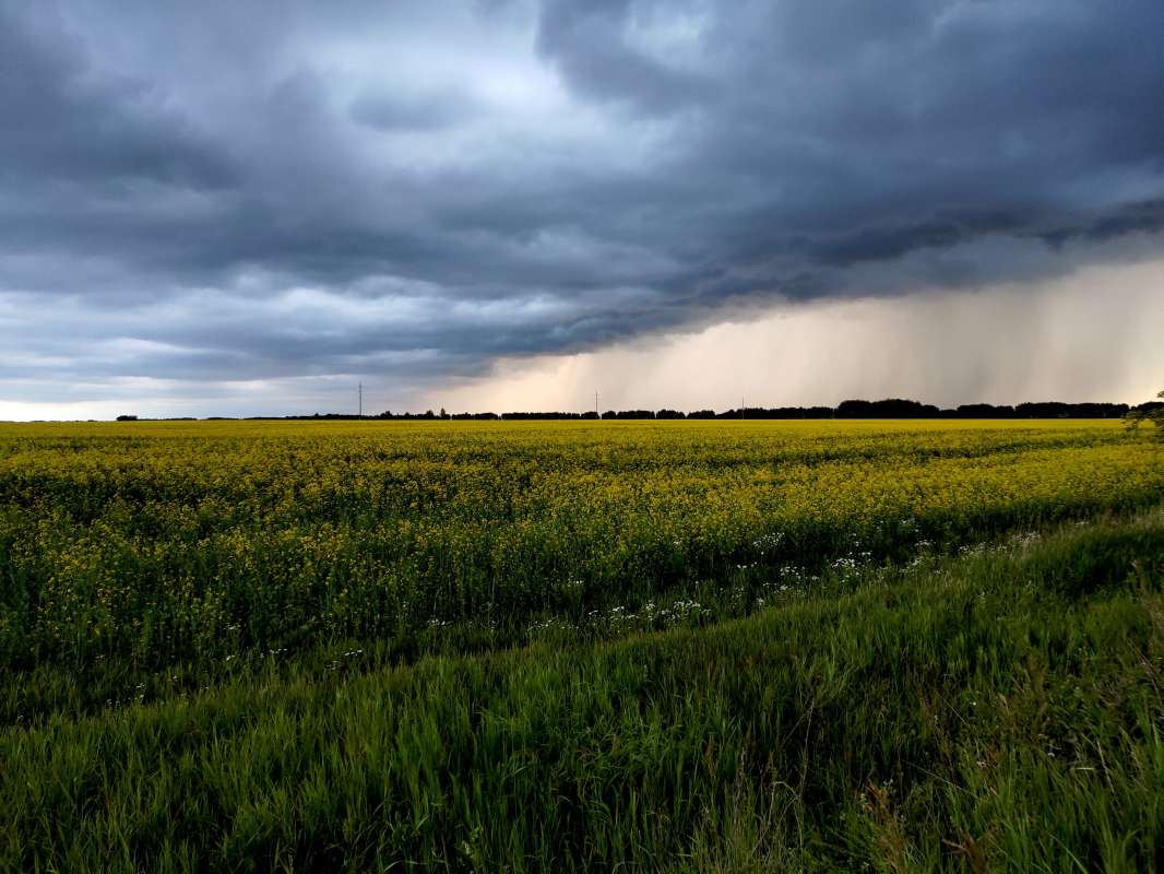И хлынул дождь автор Марина  на PhotoGeek.ru #Пейзаж или природа