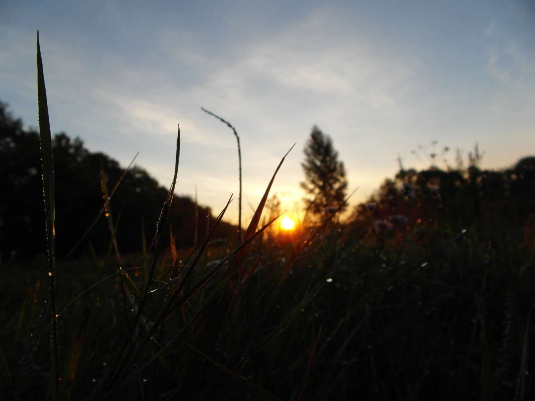 ����. ����� Pavel Filipenkov �� PhotoGeek.ru #������ ��� �������