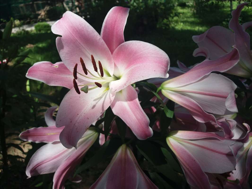 �� ���� �����. ����� Pavel Filipenkov �� PhotoGeek.ru #�����