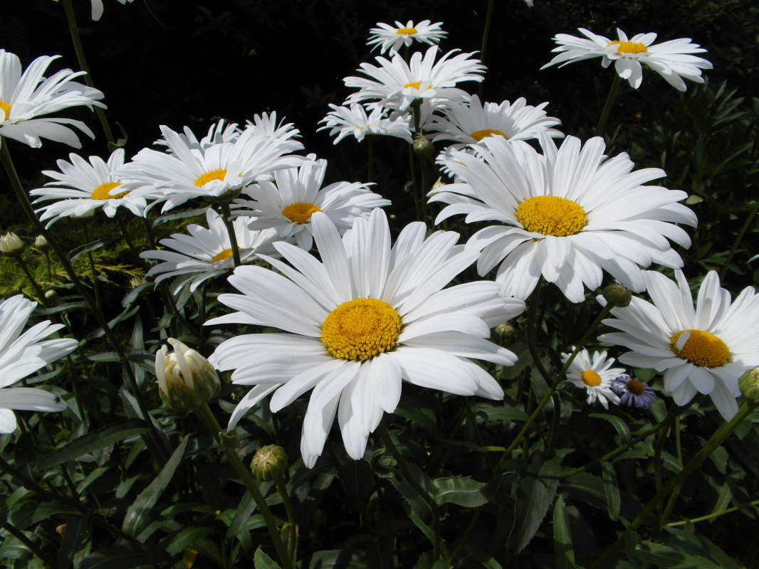 �������. ����� Pavel Filipenkov �� PhotoGeek.ru #�����