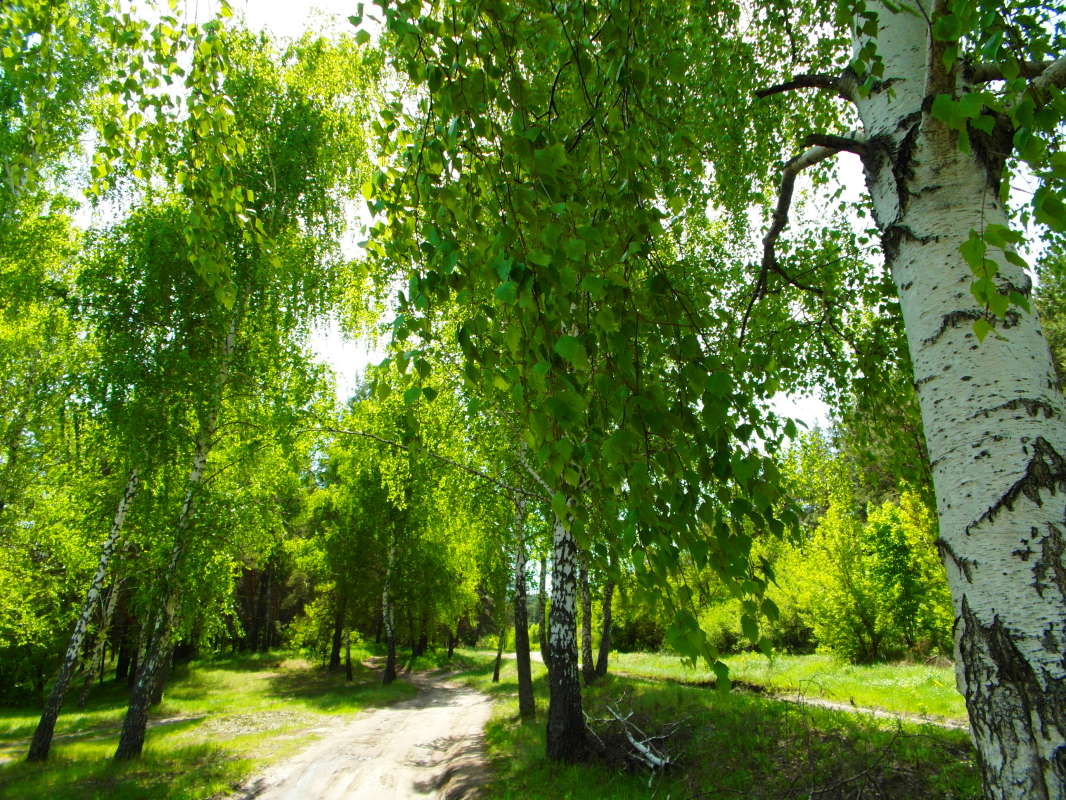 ������. ����� Pavel Filipenkov �� PhotoGeek.ru #������ ��� �������