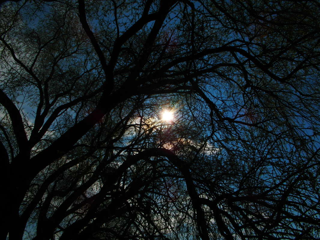 � �������.. ����� Pavel Filipenkov �� PhotoGeek.ru #������ ��� �������