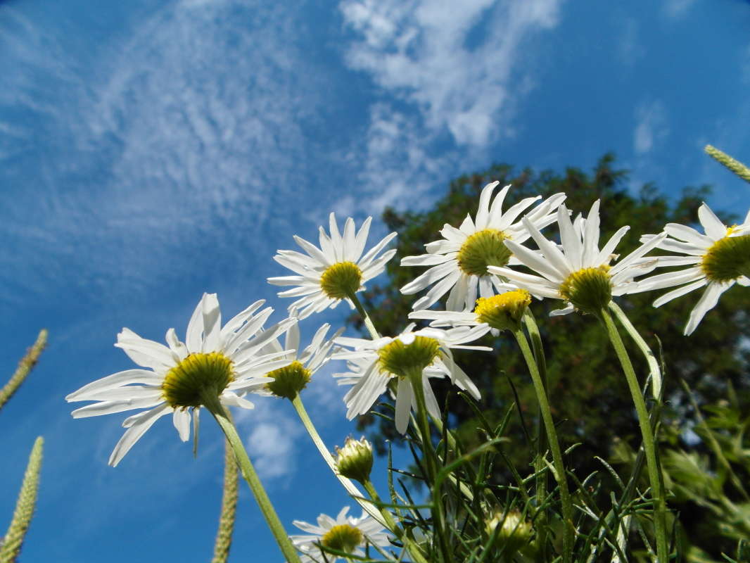 �������� �������. ����� Pavel Filipenkov �� PhotoGeek.ru #�����