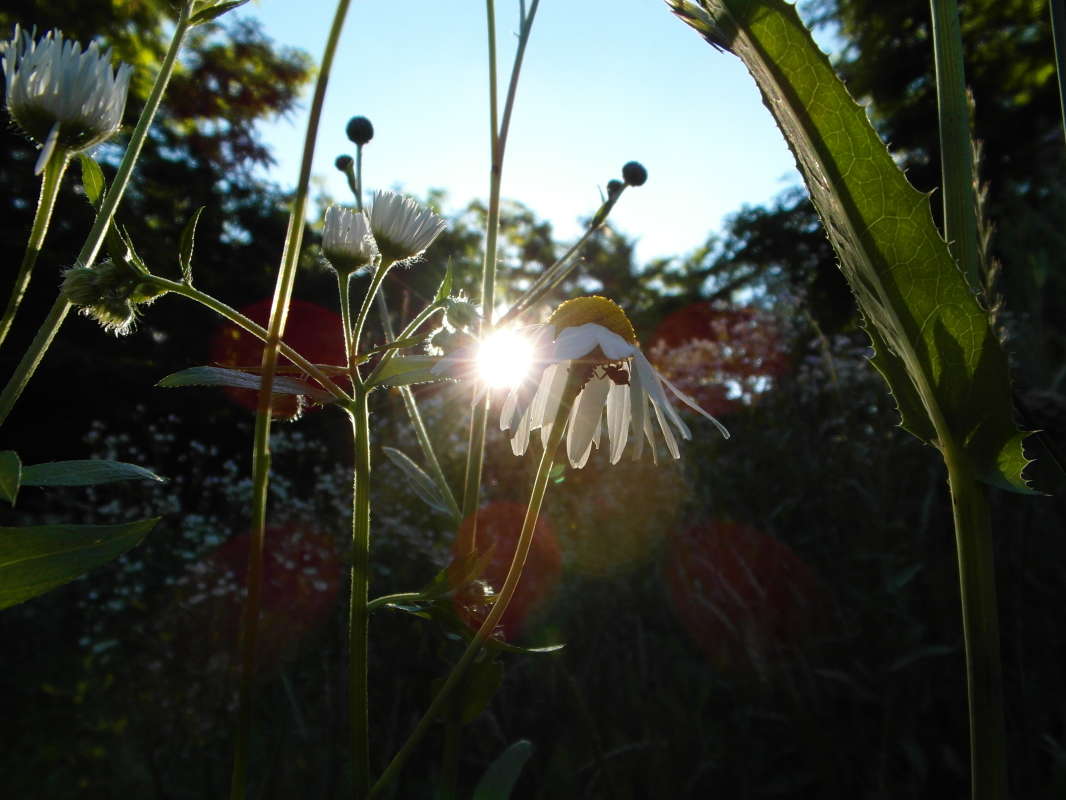 ����. ����� Pavel Filipenkov �� PhotoGeek.ru #�����