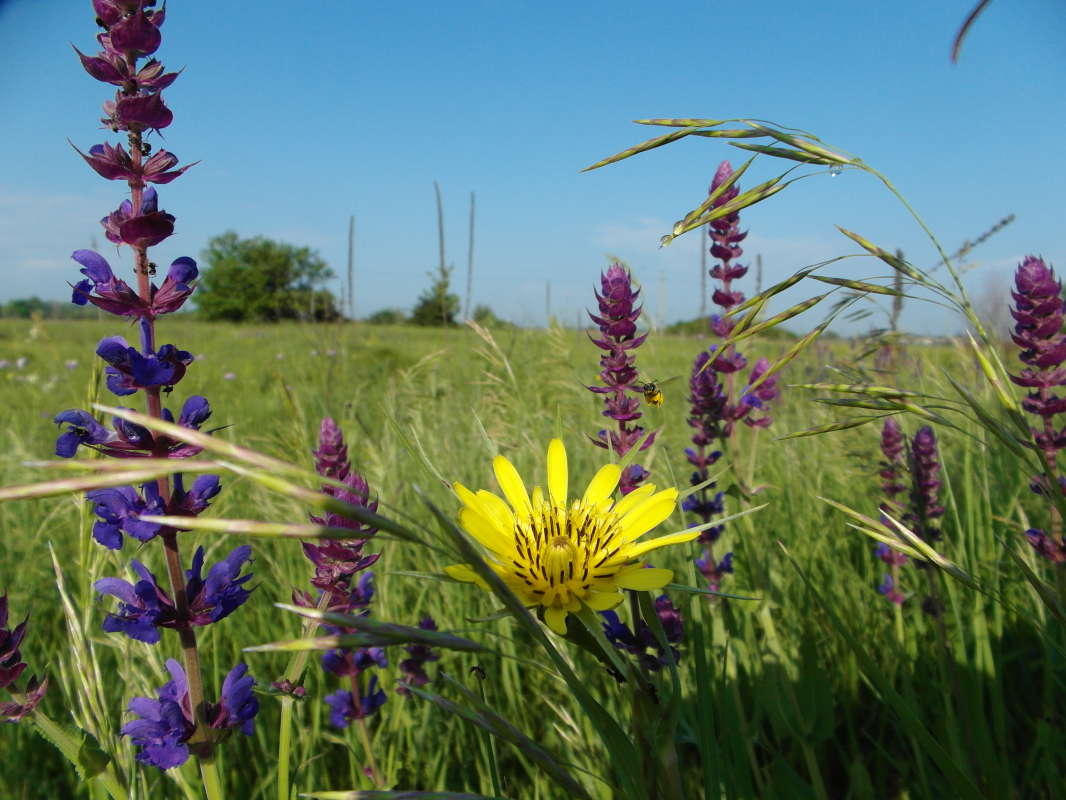 ������� ���������. ����� Pavel Filipenkov �� PhotoGeek.ru #�����