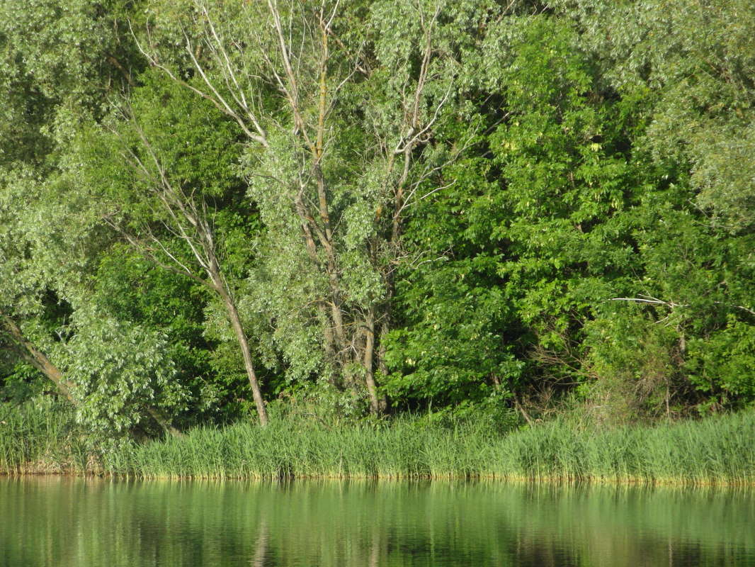 ������ ����. ����� Pavel Filipenkov �� PhotoGeek.ru #������ ��� �������