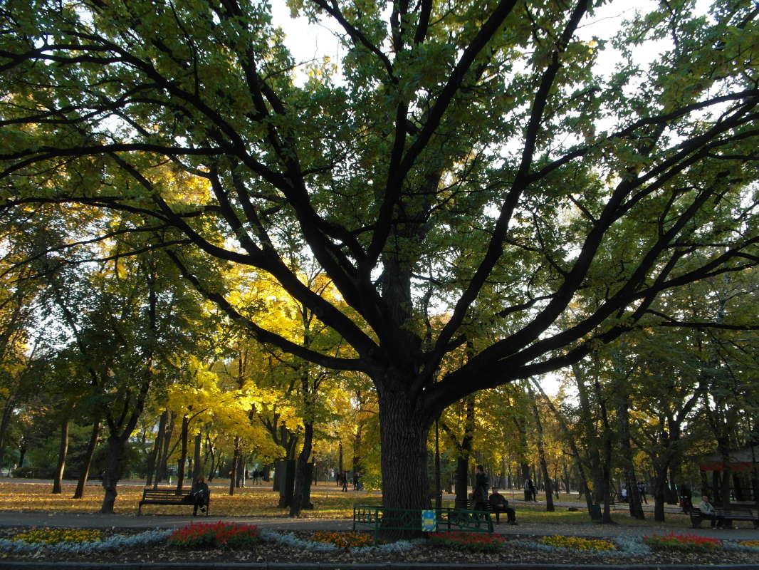 ������� ���. ����� Pavel Filipenkov �� PhotoGeek.ru #������ ��� �������