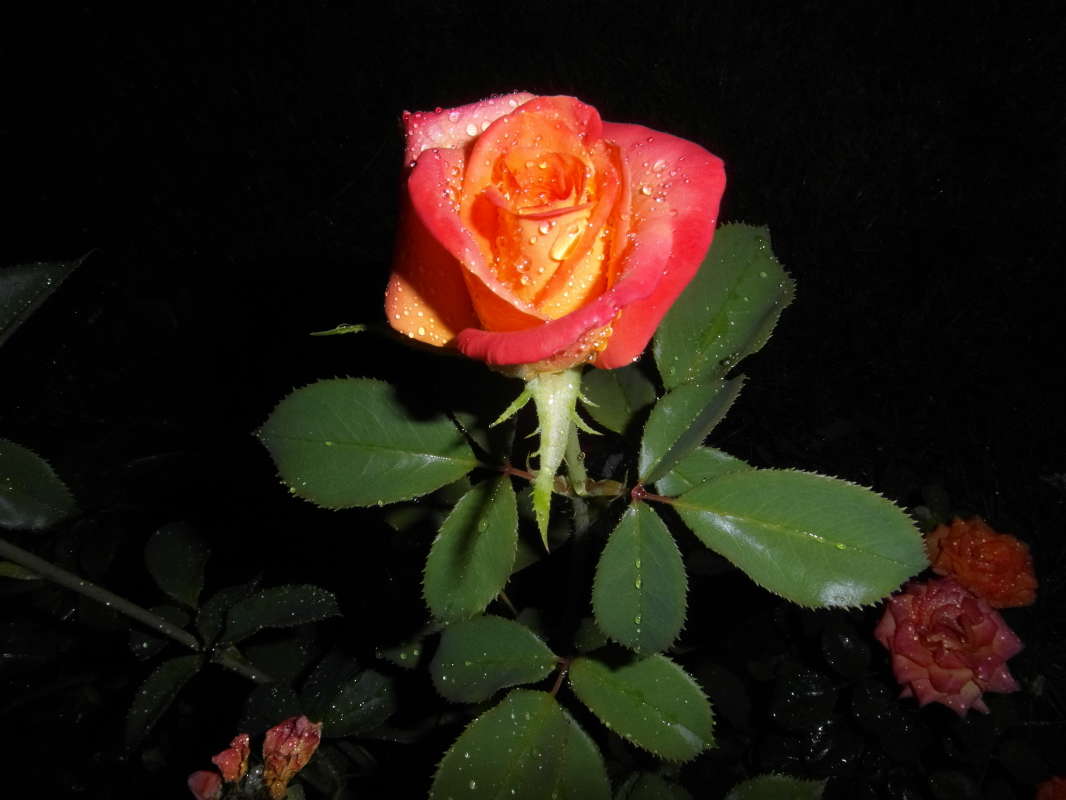 "������" ����� Pavel Filipenkov �� PhotoGeek.ru #�����