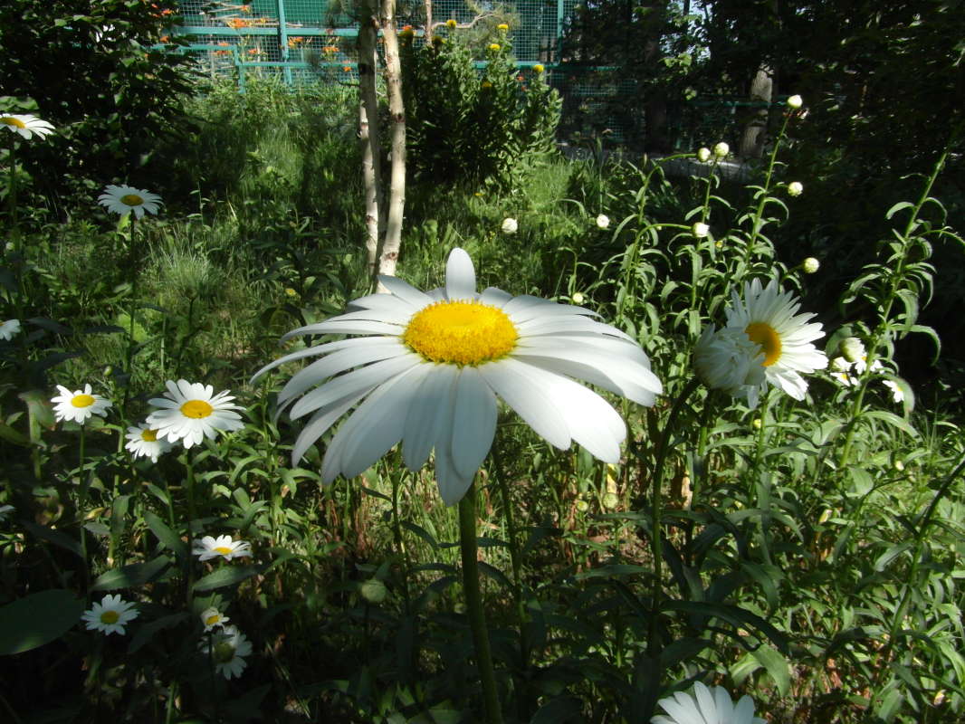 �������� �������. ����� Pavel Filipenkov �� PhotoGeek.ru #������ ��� �������